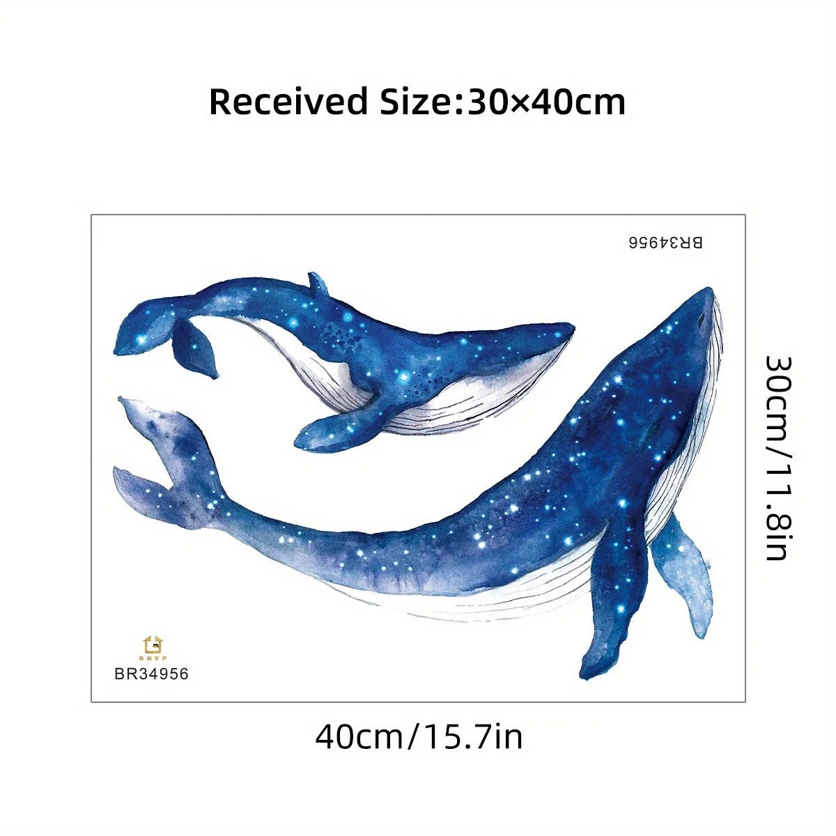 1Pc Watercolor Marine Animals Whale Furniture Wall Stickers Baby Room Wall Decoration Children Room Decor Bedroom Living Room - Fiesta Vellore1Pc Watercolor Marine Animals Whale Furniture Wall Stickers Baby Room Wall Decoration Children Room Decor Bedroom Living RoomFiesta VelloreFiesta Vellore175212236;20251225;1766621657xzdpqBR34956Scf5c69c533e049e3bbc0320e92ba9e03S