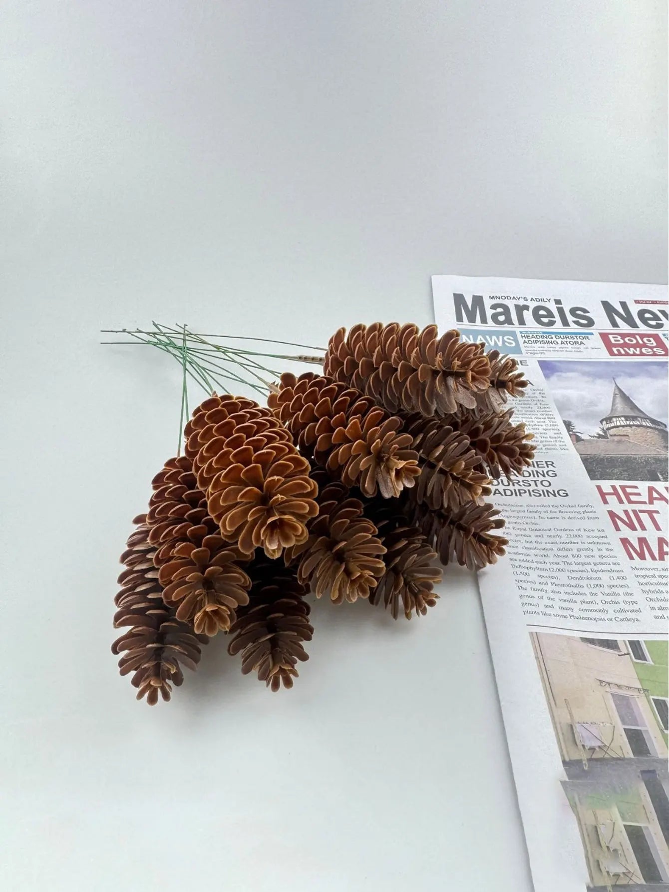 20/30pcs Artificial Pine Cone Plant Ornaments Realistic Suitable for Xmas Tree Wreath Garland Vase Table Winter Holiday Party - Fiesta Vellore20/30pcs Artificial Pine Cone Plant Ornaments Realistic Suitable for Xmas Tree Wreath Garland Vase Table Winter Holiday PartyFiesta VelloreFiesta Vellore175214536;20251225;1766621744qRJWZ20pcsS89032578dc2540ea8cc887503bf5b6d0O