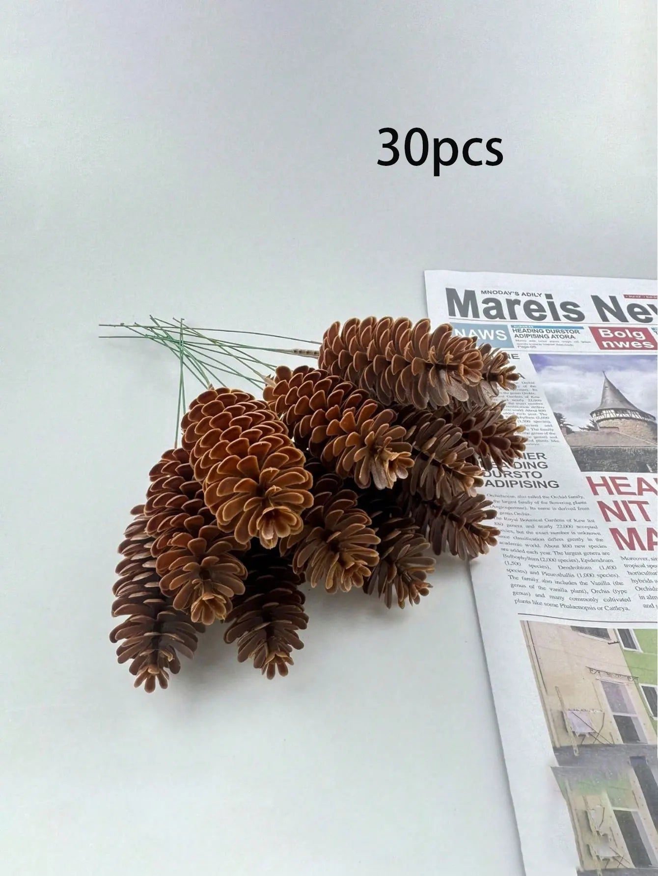 20/30pcs Artificial Pine Cone Plant Ornaments Realistic Suitable for Xmas Tree Wreath Garland Vase Table Winter Holiday Party - Fiesta Vellore20/30pcs Artificial Pine Cone Plant Ornaments Realistic Suitable for Xmas Tree Wreath Garland Vase Table Winter Holiday PartyFiesta VelloreFiesta Vellore175214537;20251225;17666217444NyHc30pcsS3557ecb7b9d2404aadfd02369a60f5d1T