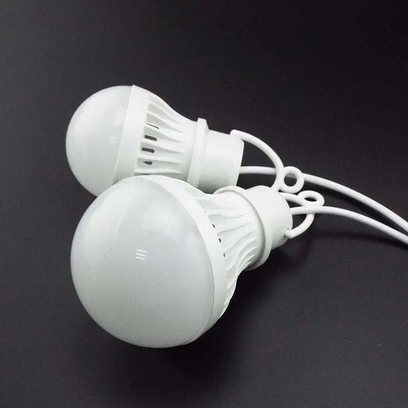 5V USB Power Portable Camping Lamp Lantern Mini LED Bulb Book Light Reading Study Table Super Birght for Outdoor - Fiesta Vellore5V USB Power Portable Camping Lamp Lantern Mini LED Bulb Book Light Reading Study Table Super Birght for OutdoorFiesta VelloreFiesta Vellore175214284;20251225;1766621723ZdT2N3W BlubsSda78fa53498b44dead1ca9cdf5ad690el