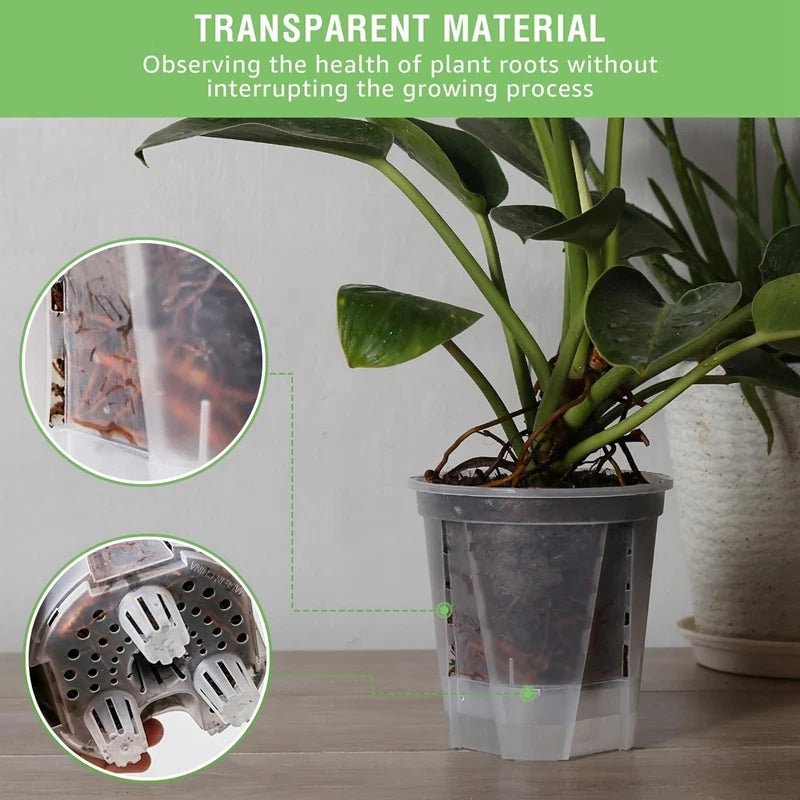 6 Inch Transparent Plastic Garden Pots Self Watering Planters 5 Pack With Deep Reservior - Fiesta Vellore6 Inch Transparent Plastic Garden Pots Self Watering Planters 5 Pack With Deep ReserviorFiesta VelloreFiesta Vellore175213956;20251225;1766621711LDwcfTransparentSc1890089723d4fe58ee5aeb934fae303A