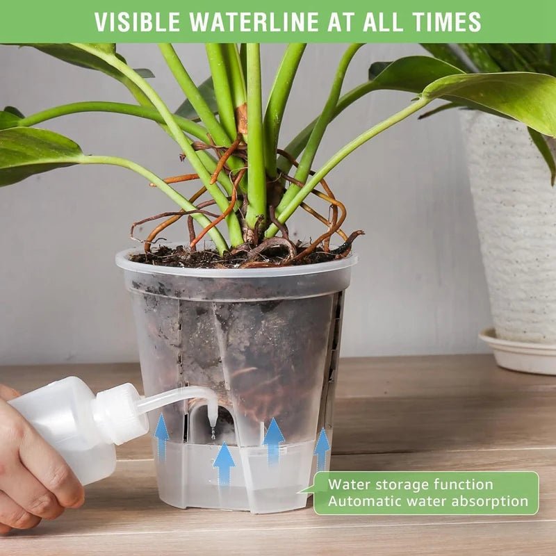 6 Inch Transparent Plastic Garden Pots Self Watering Planters 5 Pack With Deep Reservior - Fiesta Vellore6 Inch Transparent Plastic Garden Pots Self Watering Planters 5 Pack With Deep ReserviorFiesta VelloreFiesta Vellore175213956;20251225;1766621711LDwcfTransparentS8b23872f832e496992e299c46f857c44e