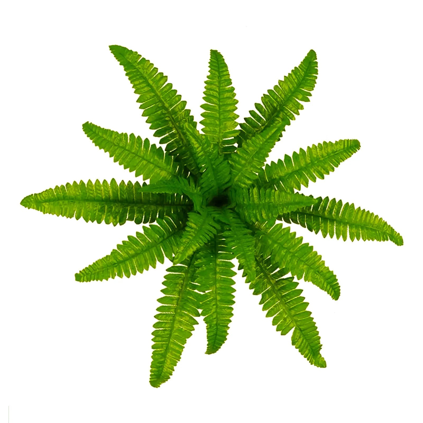 Artificial Ferns Lifelike Greenery Outdoor Planters Weather Resistant Hanging Plants Garden Patio Decorations For Outdoor Decor - Fiesta VelloreArtificial Ferns Lifelike Greenery Outdoor Planters Weather Resistant Hanging Plants Garden Patio Decorations For Outdoor DecorFiesta VelloreFiesta Vellore175214121;20251225;1766621712RwxpGOne SizeBSaa3e1f0797fb4c8f8a2e45bf5fdfb0b9d