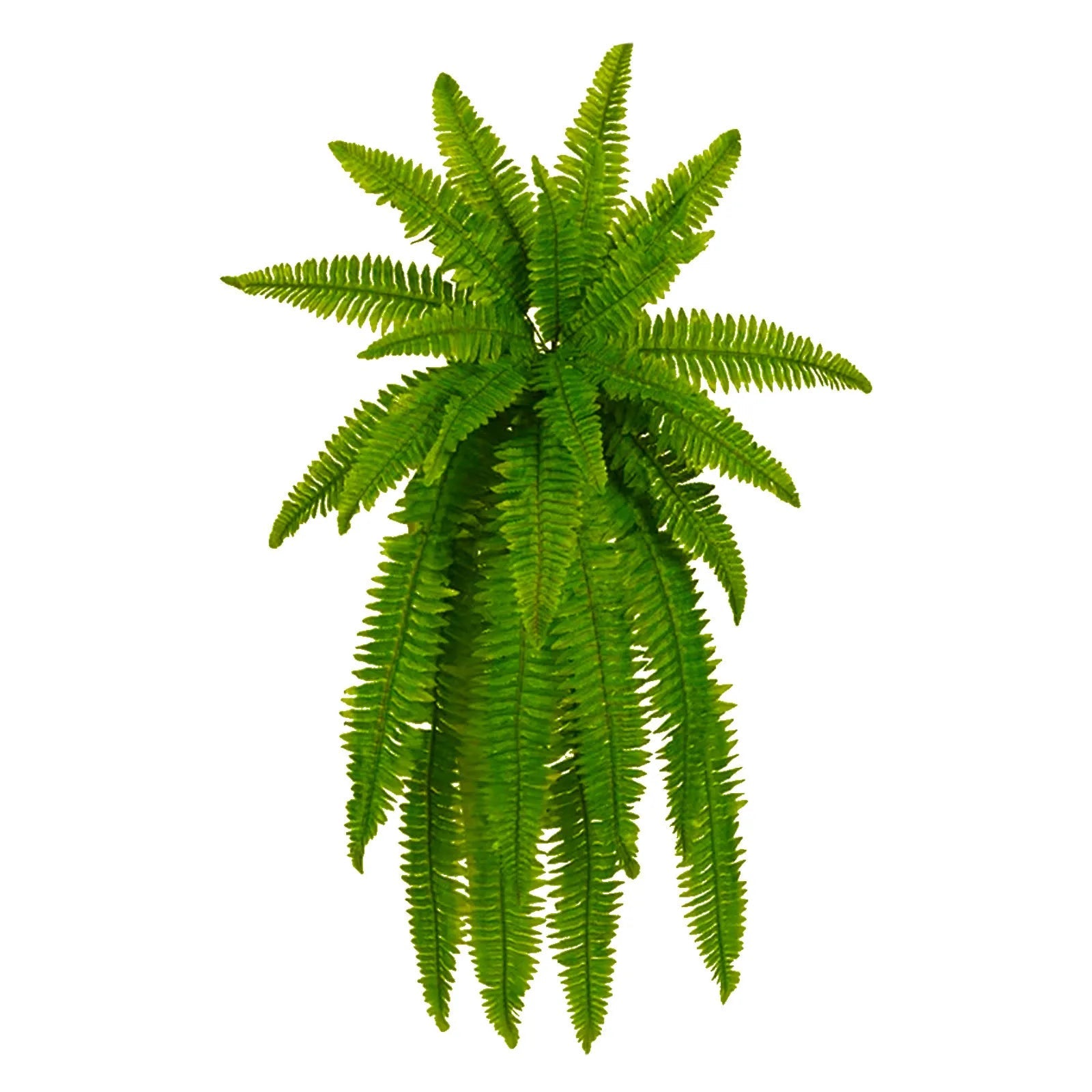 Artificial Ferns Lifelike Greenery Outdoor Planters Weather Resistant Hanging Plants Garden Patio Decorations For Outdoor Decor - Fiesta VelloreArtificial Ferns Lifelike Greenery Outdoor Planters Weather Resistant Hanging Plants Garden Patio Decorations For Outdoor DecorFiesta VelloreFiesta Vellore175214119;20251225;1766621712kOsA8One SizeAS43b0749c33644c08a33a4acab3b1e92cT