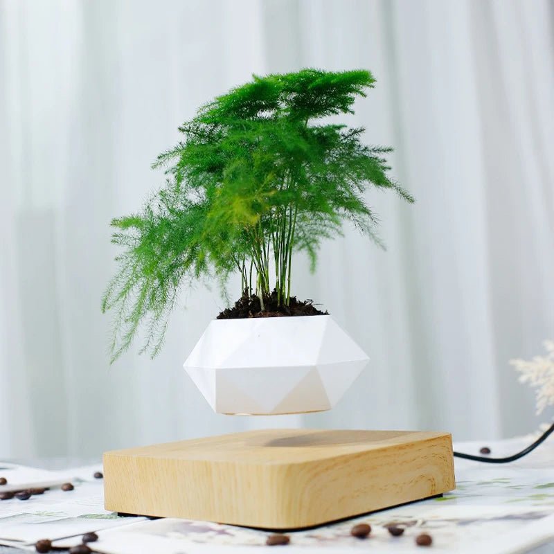Hot Sale Levitating Air Bonsai Pot Rotation Planters Magnetic Levitation Suspension Flower Floating Pot Potted Plant Desk Decor - Fiesta VelloreHot Sale Levitating Air Bonsai Pot Rotation Planters Magnetic Levitation Suspension Flower Floating Pot Potted Plant Desk DecorFiesta VelloreFiesta Vellore175214062;20251225;1766621711UAZSMBlack ColorAU plugChina MainlandH78040a2bc9cb49c48910354523875001u