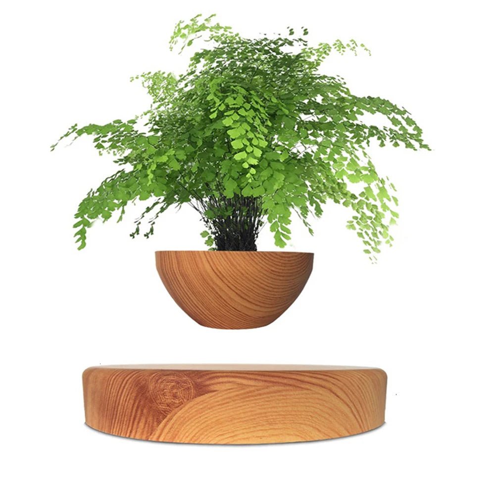 Hot Sale Levitating Air Bonsai Pot Rotation Planters Magnetic Levitation Suspension Flower Floating Pot Potted Plant Desk Decor - Fiesta VelloreHot Sale Levitating Air Bonsai Pot Rotation Planters Magnetic Levitation Suspension Flower Floating Pot Potted Plant Desk DecorFiesta VelloreFiesta Vellore175214062;20251225;1766621711UAZSMBlack ColorAU plugChina MainlandSda13030c0bb140b9906e5a5504efa2b46