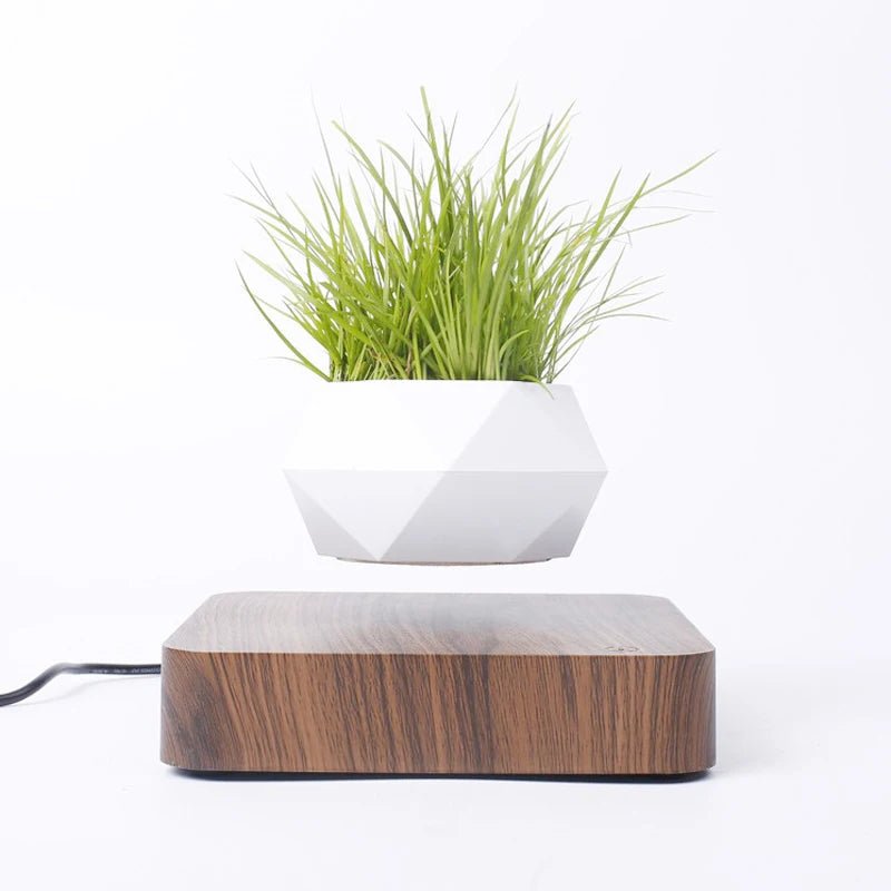 Hot Sale Levitating Air Bonsai Pot Rotation Planters Magnetic Levitation Suspension Flower Floating Pot Potted Plant Desk Decor - Fiesta VelloreHot Sale Levitating Air Bonsai Pot Rotation Planters Magnetic Levitation Suspension Flower Floating Pot Potted Plant Desk DecorFiesta VelloreFiesta Vellore175214062;20251225;1766621711UAZSMBlack ColorAU plugChina MainlandH21a98547f69843bc93392bd69c44bd6eU