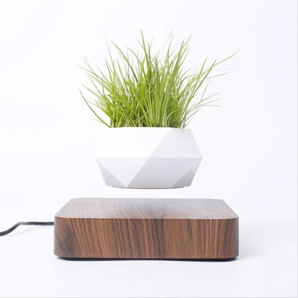 Hot Sale Levitating Air Bonsai Pot Rotation Planters Magnetic Levitation Suspension Flower Floating Pot Potted Plant Desk Decor - Fiesta VelloreHot Sale Levitating Air Bonsai Pot Rotation Planters Magnetic Levitation Suspension Flower Floating Pot Potted Plant Desk DecorFiesta VelloreFiesta Vellore175214070;20251225;1766621711uTurWDark ColorAU plugChina MainlandHe1e08a8a78bd4b98b17a0f4d60aa9c51s