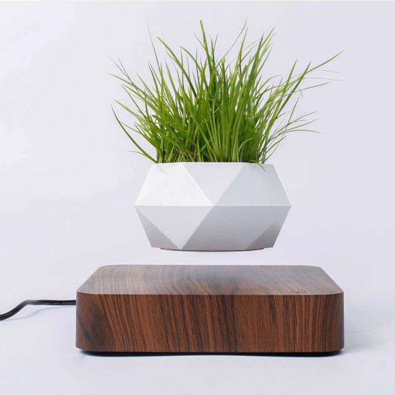 Hot Sale Levitating Air Bonsai Pot Rotation Planters Magnetic Levitation Suspension Flower Floating Pot Potted Plant Desk Decor - Fiesta VelloreHot Sale Levitating Air Bonsai Pot Rotation Planters Magnetic Levitation Suspension Flower Floating Pot Potted Plant Desk DecorFiesta VelloreFiesta Vellore175214087;20251225;1766621711osj90US PlugSc2026d7f03c1487e98e7db728d5f8fb3s