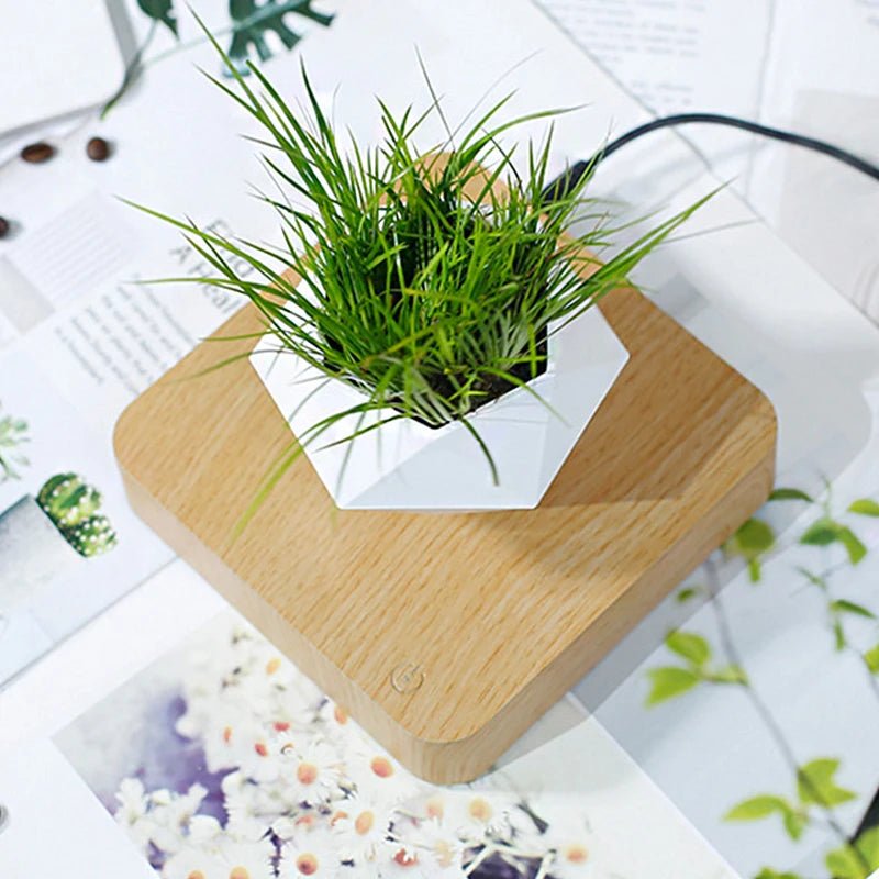 Hot Sale Levitating Air Bonsai Pot Rotation Planters Magnetic Levitation Suspension Flower Floating Pot Potted Plant Desk Decor - Fiesta VelloreHot Sale Levitating Air Bonsai Pot Rotation Planters Magnetic Levitation Suspension Flower Floating Pot Potted Plant Desk DecorFiesta VelloreFiesta Vellore175214087;20251225;1766621711osj90US PlugS5d4d3a205ca24c7e84fae055fbc3c22eu