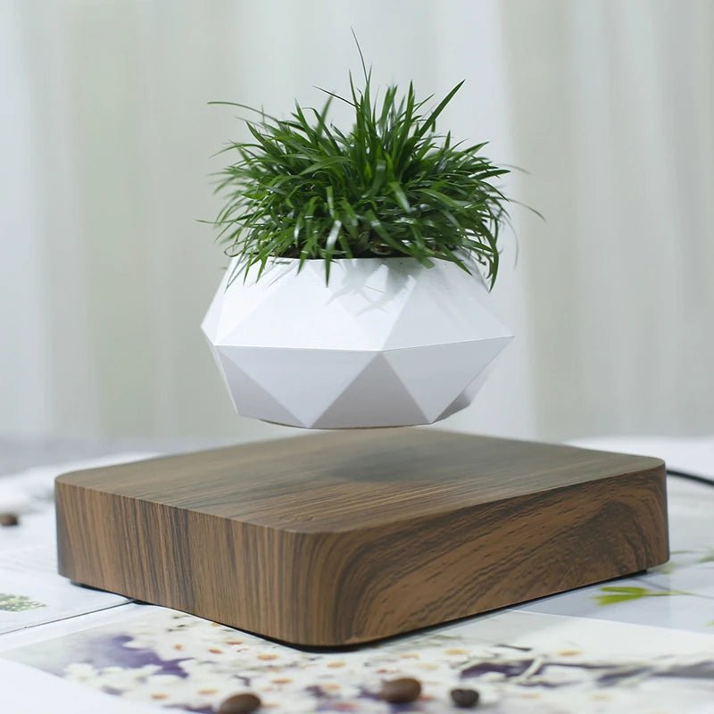 Hot Sale Levitating Air Bonsai Pot Rotation Planters Magnetic Levitation Suspension Flower Floating Pot Potted Plant Desk Decor - Fiesta VelloreHot Sale Levitating Air Bonsai Pot Rotation Planters Magnetic Levitation Suspension Flower Floating Pot Potted Plant Desk DecorFiesta VelloreFiesta Vellore175214087;20251225;1766621711osj90US PlugS6af6975a45bc45e6951747a8d398a3eaP