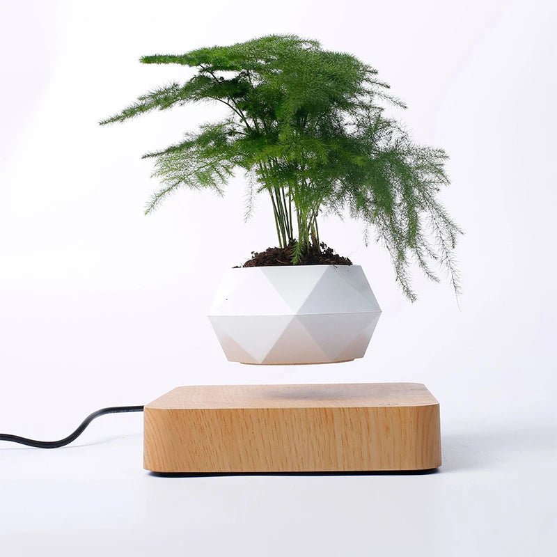 Hot Sale Levitating Air Bonsai Pot Rotation Planters Magnetic Levitation Suspension Flower Floating Pot Potted Plant Desk Decor - Fiesta VelloreHot Sale Levitating Air Bonsai Pot Rotation Planters Magnetic Levitation Suspension Flower Floating Pot Potted Plant Desk DecorFiesta VelloreFiesta Vellore175214087;20251225;1766621711osj90US PlugS5072c29807a64a2d9f84700a7d055ece7